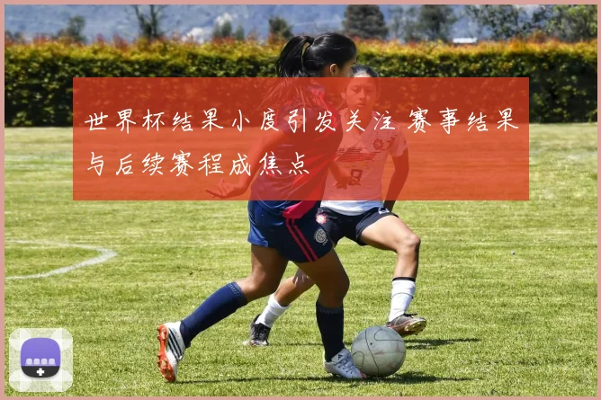 世界杯结果小度引发关注 赛事结果与后续赛程成焦点