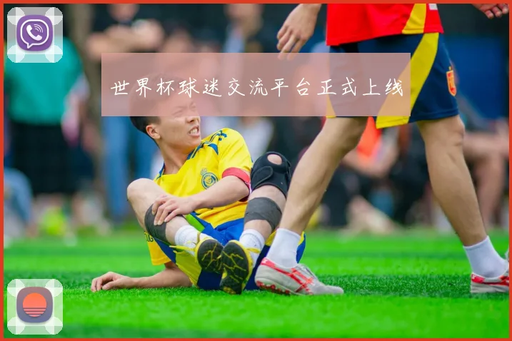 世界杯球迷交流平台正式上线